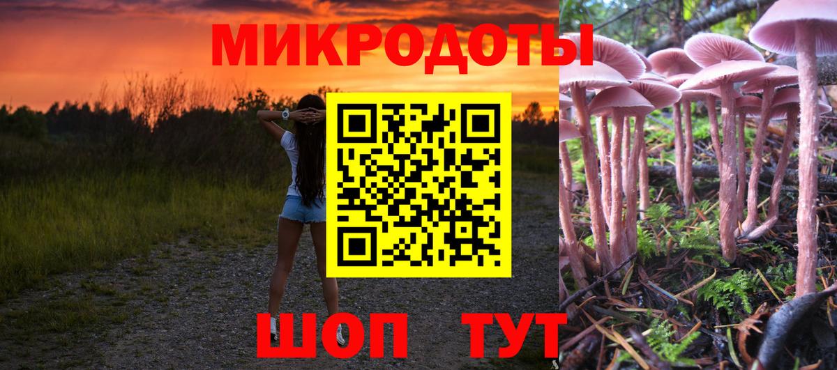 Урус-Мартан  Псилоцибиновые грибы MAGIC MUSHROOMS  Вход с VPN 